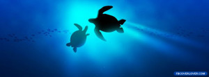 Sea Turtles 2 Facebook Timeline Profile Covers