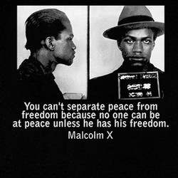 ... 19.99 Buy Malcolm X Fingerprints With Famous Quote T Shirt $19.99 Buy