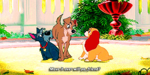 mine disney lady lady and the tramp tramp jock latt*