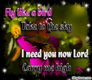 Fly Like A Bird Take To Sky Need You Lord Carry Me High Quote Quotes