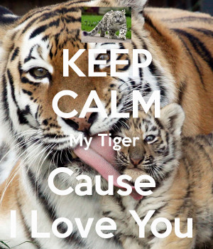 my tiger dark by j c i love you a tigers way of i love you tiger