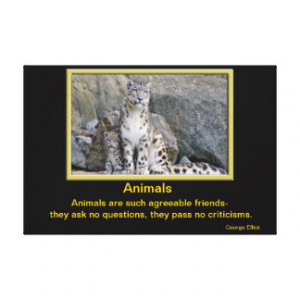 Animals inspirational quotes 3 canvas prints