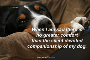 Motivational Quote: When I am sad there is no greater comfort than the ...