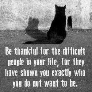 Be thankful for the difficult people in your life for they have shown ...