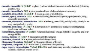 Latin quotes on love and meanings