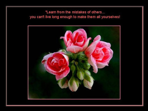 Beautiful Quotes for Life with Beautiful Flowers