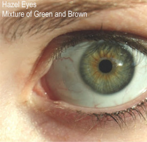 Quotes Images All Her Eyes Are Brown
