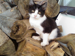 Funny Quotes Contact Us DMCA Notice