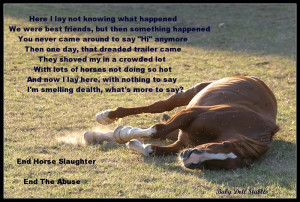 STOP HORSE SLAUGHTER Image