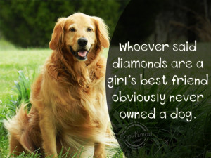 Pets Quote: Whoever said diamonds are a girl’s best...
