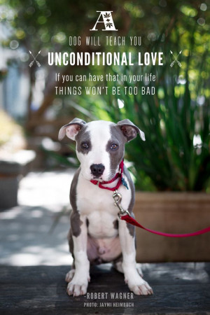 Unconditional love, and puppies!!(Photo: Jaymi Heimbuch )