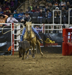 sick calves were released breakaway roping oldest events in rodeo