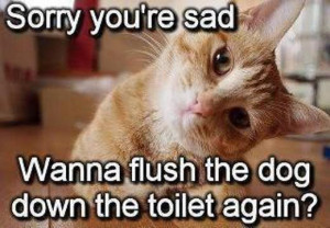 Sorry You’re Sad Wanna Flush The Dog Down The Toilet Again Sad Quote