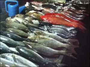 fresh-fish-at-rawai-fish-market.png