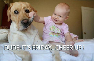 its friday dog, look happy