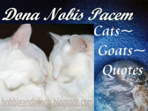 Cats~Goats~Quotes
