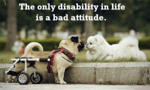 ... , Dogs Lovers, Inspiration Quotes, Pugs Life, Funny Facebook Status