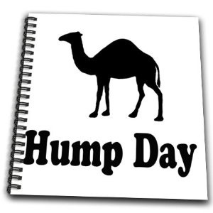 Funny Quotes About Wednesday Hump Day