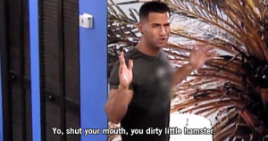 Jersey Shore the situation mike hamster