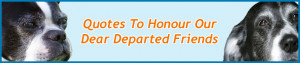 Dog_Quotes_Quotations_Departed_Quotes_B.jpg