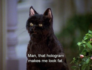 the 40 greatest things ever said by salem the cat