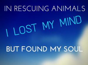 Inspirational Animal Rescue Quotes In rescuing animals, i lost my