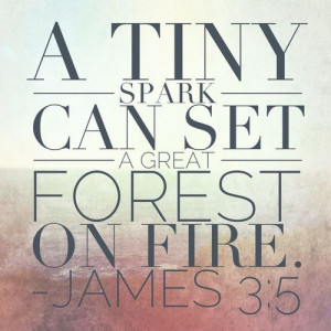 James 3:5 - (referring to the tongue) a tiny spark can set a great ...
