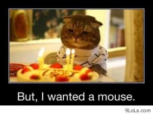 But, I wanted a mouse - Funny Pictures, Funny Quotes, Funny Videos ...