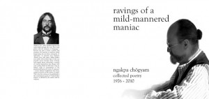 about Chogyam Trungpa Rinpoche, written by Doc Togden (Ngakpa Chogyam ...