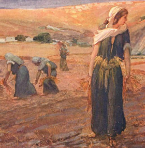 story-of-ruth.jpg