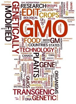Why Genetically Engineered Food is Dangerous: New Report by Genetic ...