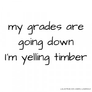 my grades are going down I'm yelling timber