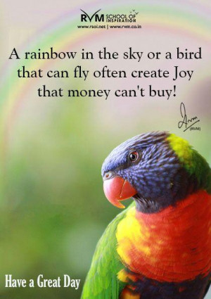 rainbow in the sky or a bird that can fly often create Joy that ...