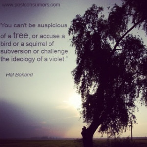 ... of subversion or challenge the ideology of a violet.” Hal Borland