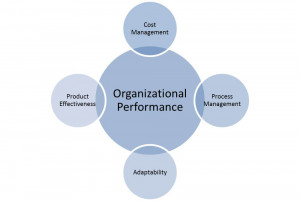 Related to Effective Performance Management With The Balanced ...