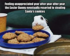Feeling unappreciated year after year after year, the Easter Bunny ...
