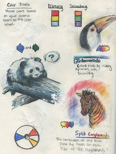 IB art color sketchbook page More