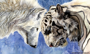 Wolf vs Tiger Art white wolf and tiger wallpaper