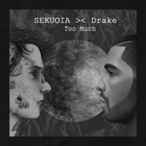 Too Much Drake Drake - too much (sekuoia