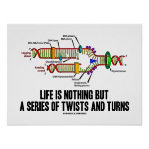 Life Is Nothing But A Series Of Twists And Turns Posters