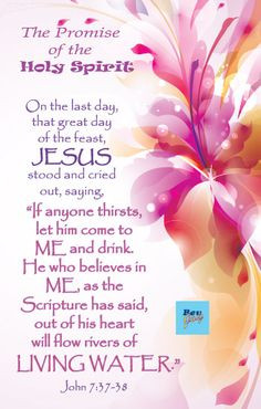 SCRIPTURE ~ THE BIBLE