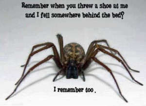 ... Category: Funny Pictures // Tags: Scary spider remembers // May, 2013