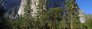 El Capitan Yosemite Valley Usa California Climb