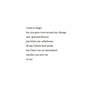 ... petals, but i have not yet ascertained, whether you love me, or not