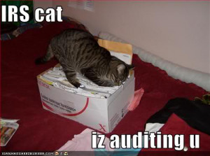 This is what Audit is? - A Funny Story...