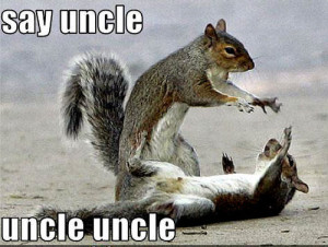 Squirrel Funny Animal Humor
