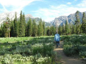 Laurance Rockefeller Preserve Alone on the trail early Saturday