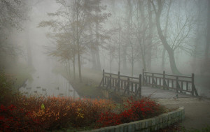 Foggy Morning Foggy morning - wroclaw