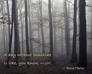 Beautiful Sunshine Quotes and Sayings to Make Your Day