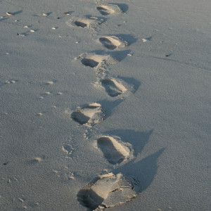 Their Eyes Were Watching God Nanny Quotes Good quote choice.